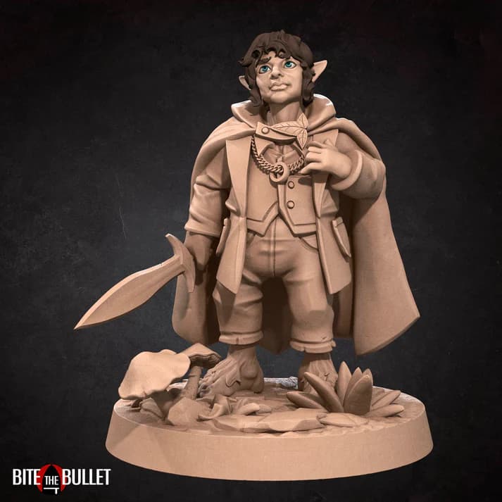The Ring-Bearer — dark-haired halfling with chain necklace and elven cloak